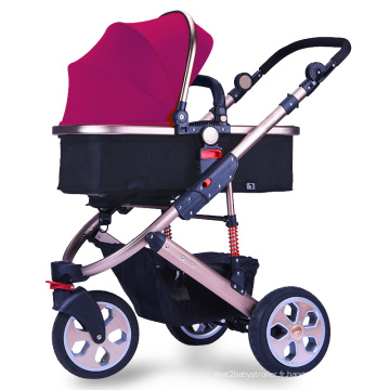 Porce-poitrine à grande terre 2 en 1 Baby Pram Tricycle 3 roues poussette bébé